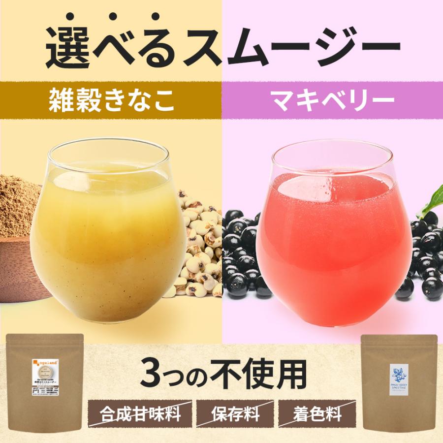 あーみん  マキベリー 酵素 スムージー  他 ogaland（オーガランド） スムージー 置き換え 酵素スムージー