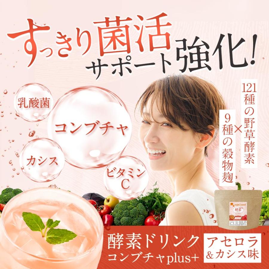 酵素ドリンク コンブチャ ダイエットドリンク 80g 植物酵素ドリンク