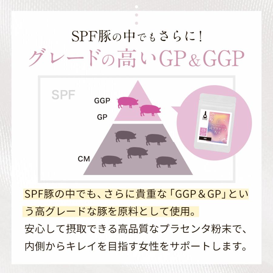 プラセンタ エキス パウダー 粉末 12g 約40日分 健康 美容