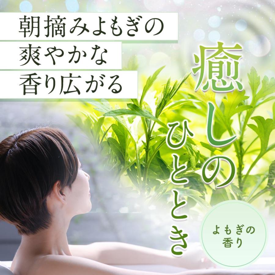 入浴剤 よもぎ 600g 浴用入浴剤 よもぎ入浴剤 薬用入浴剤 芒硝 重曹