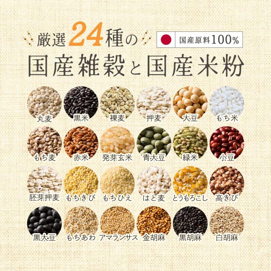 米粉 雑穀 国産 無添加 400g 二十四雑穀 粉末 大容量 食物繊維 鉄 亜鉛