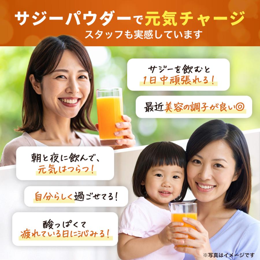 サジー サジージュース 粉末 60g サジーパウダー 濃縮 サプリ 鉄分