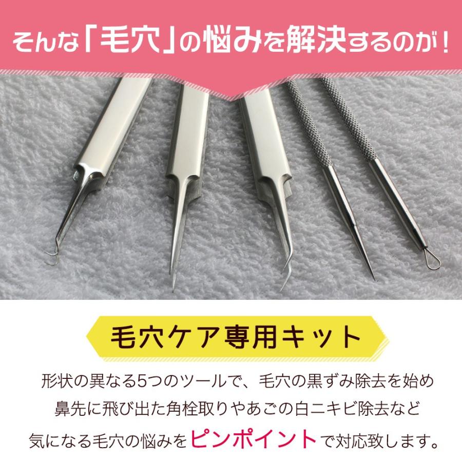 角栓取りピンセット角栓除去毛穴黒ずみ除去角質除去鼻コメドプッシャーフェイスケア送料無料毛穴ケア専用キット5本セットメール便a 日本代購網