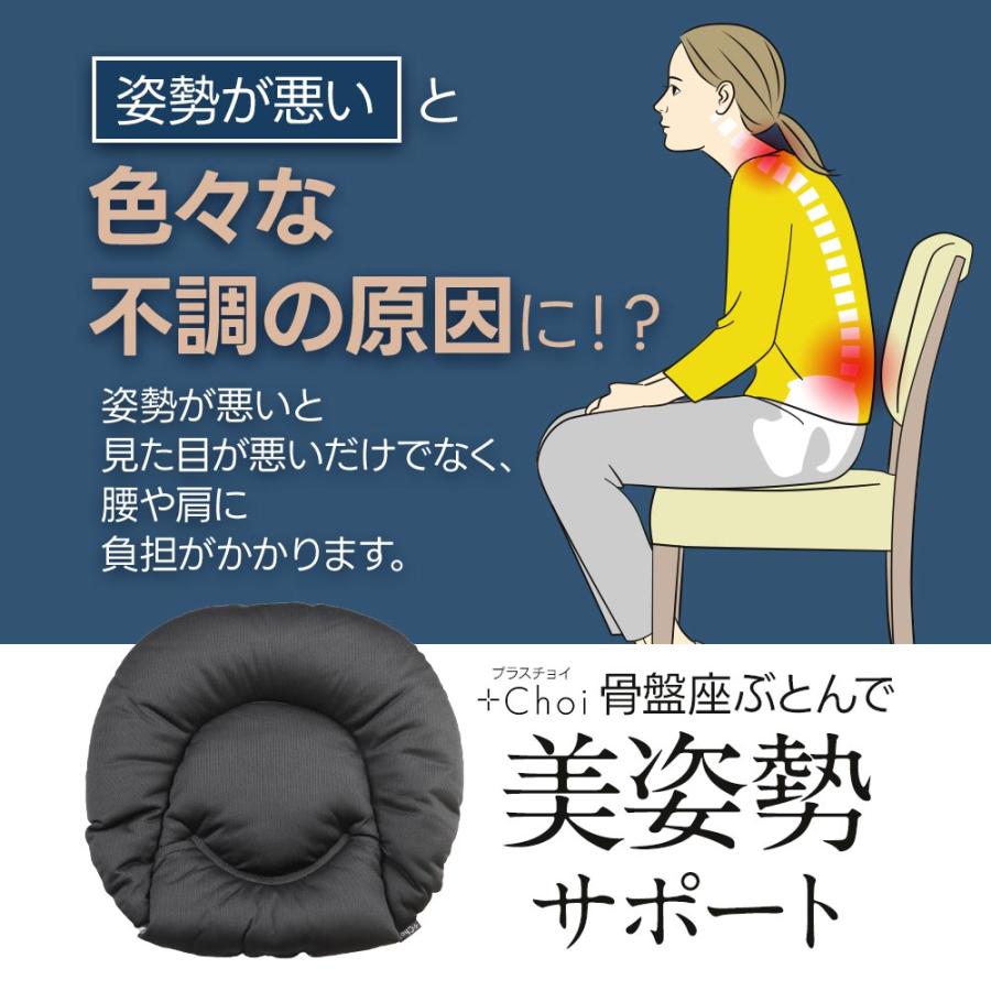 marna（マーナ） 2個セット 骨盤座ぶとん プラスチョイ 腰痛 椅子