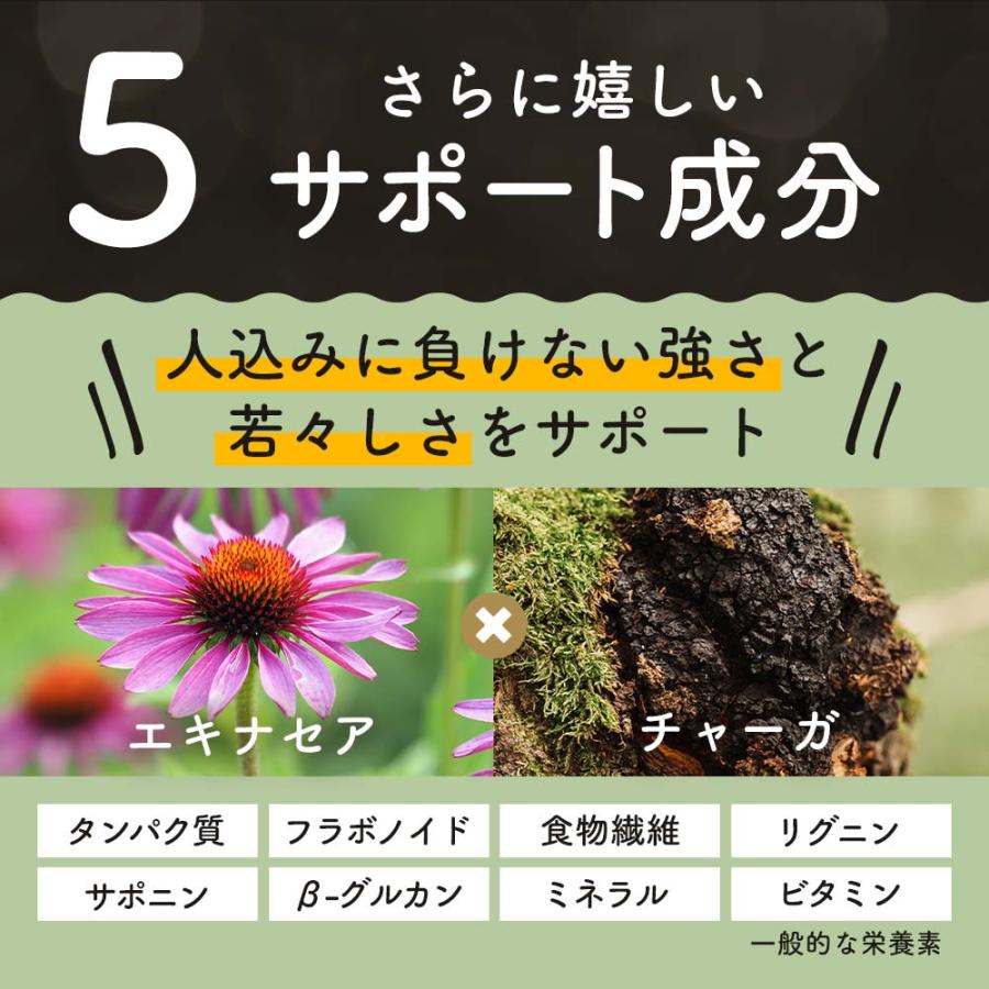 コンブチャクレンズ 25包 2袋 セット 選べる ティーバッグ ダイエット