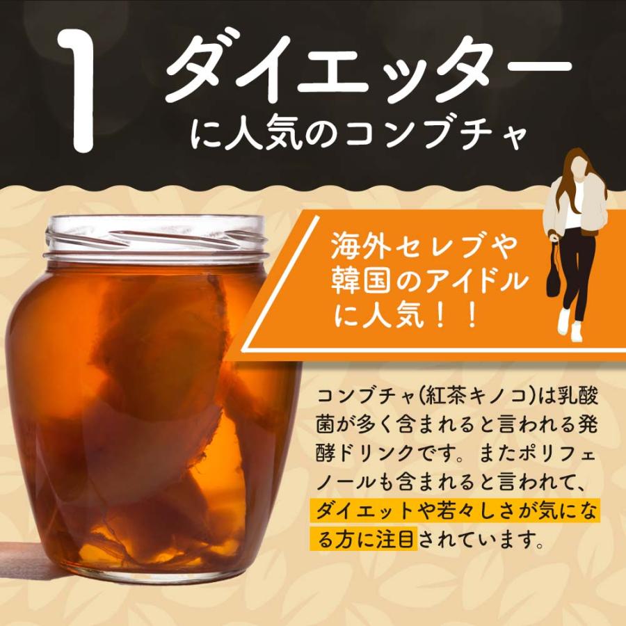 コンブチャクレンズ 25包 2袋 セット 選べる ティーバッグ ダイエット