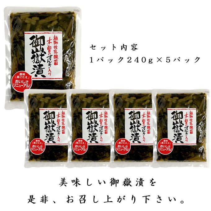 御嶽漬 おんたけづけ 5パックセット 植物性乳酸菌 すんき漬入り Ont 1 いいものコロコロ 通販 Yahoo ショッピング