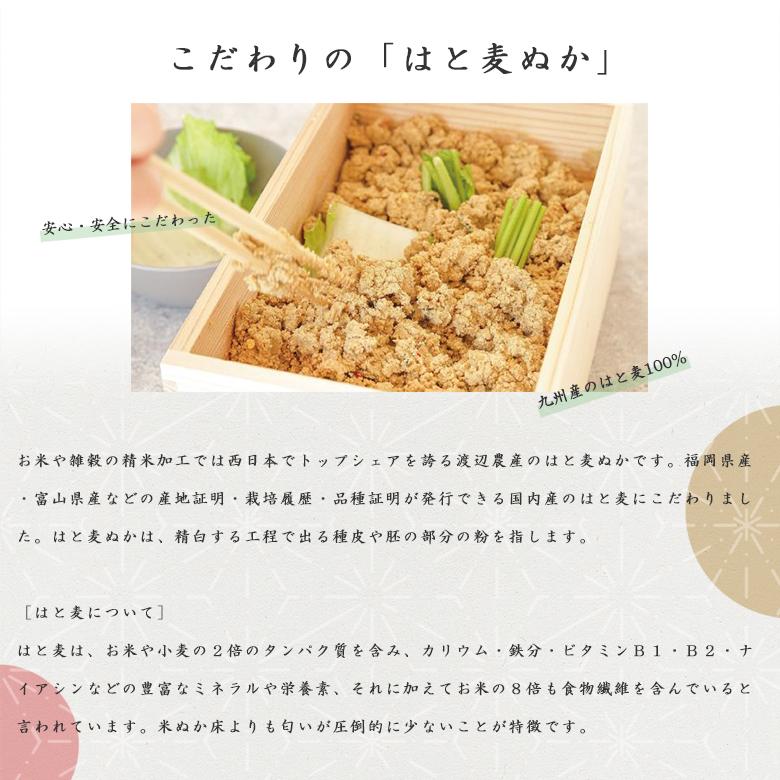 SUGIDOCO×はと麦ぬかのぬか漬けスターターセット ぬか床 糠漬 糠箱 ぬか床の素 :sugi-100:いいものコロコロ 通販  