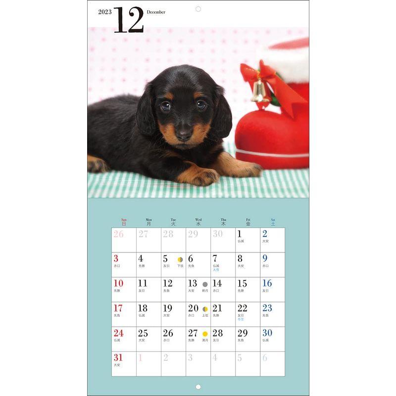 23年カレンダー かわいいミニチュア ダックスフンド 誠文堂新光社カレンダー Otc Store 通販 Yahoo ショッピング