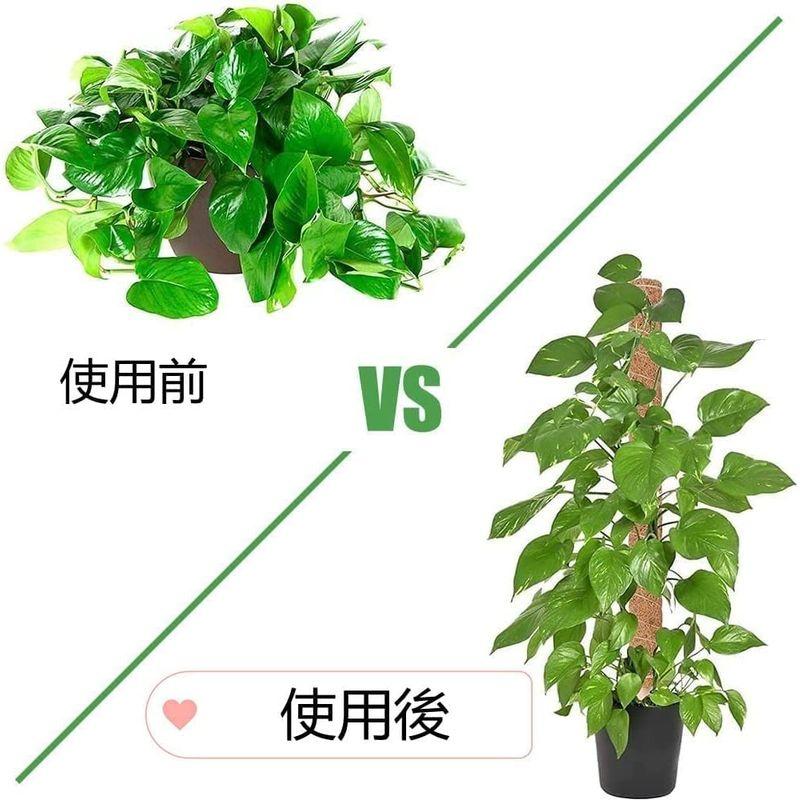 春のコレクションORFINA 植物支柱 園芸支柱 誘引 延長可能 花支え 支柱 植物サポート ココナッツ支柱 植物ネクタイ 観葉支柱 つる性植物 植物成長 農業用 園芸支柱 朝顔 支柱 支柱パーツ つる植物 支柱 植物支柱 植物サポート 花ささえ つる性植物 部屋の装飾 Vanow 観葉支柱パックガー ガーデニン