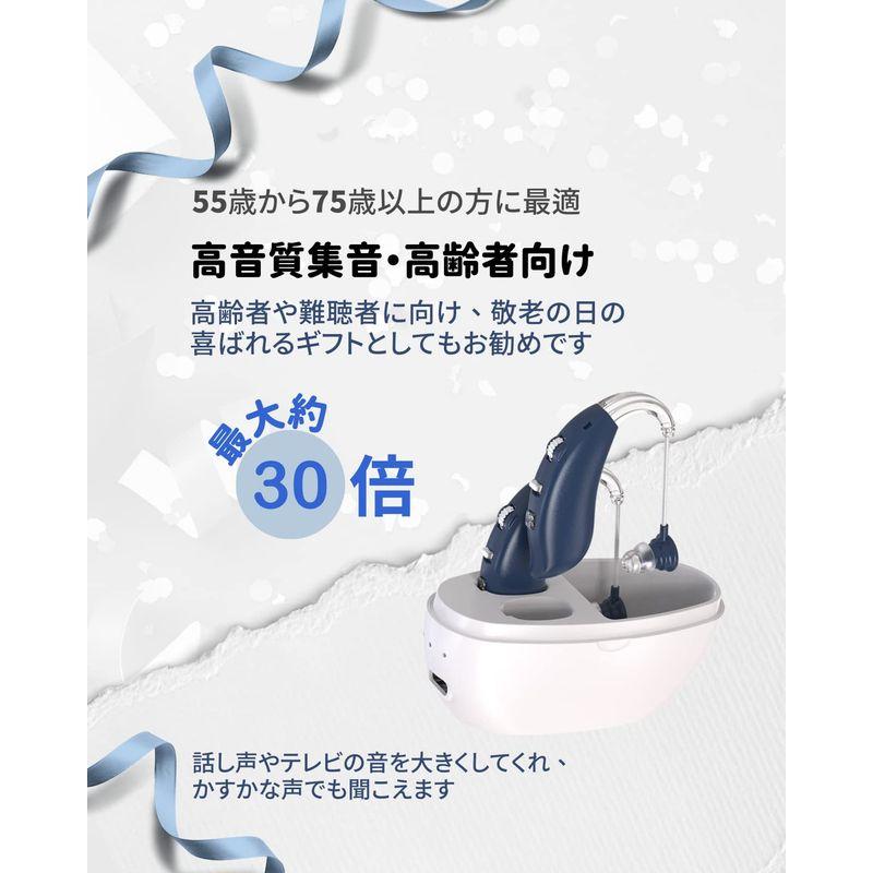 正規品 高齢者 両耳装用 SUPLI 集音器 音声拡張器 耳掛けタイプ 正規品 高齢者 両耳装用 SUPLI 集音器 音声拡張器 耳掛けタイプ
