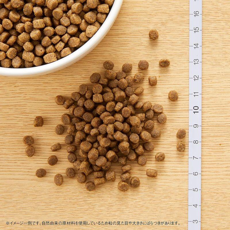nutro ニュートロ キャット ワイルド レシピ キトン チキン 子猫用 400g キャットフード グレインフリー｜otc-store｜05