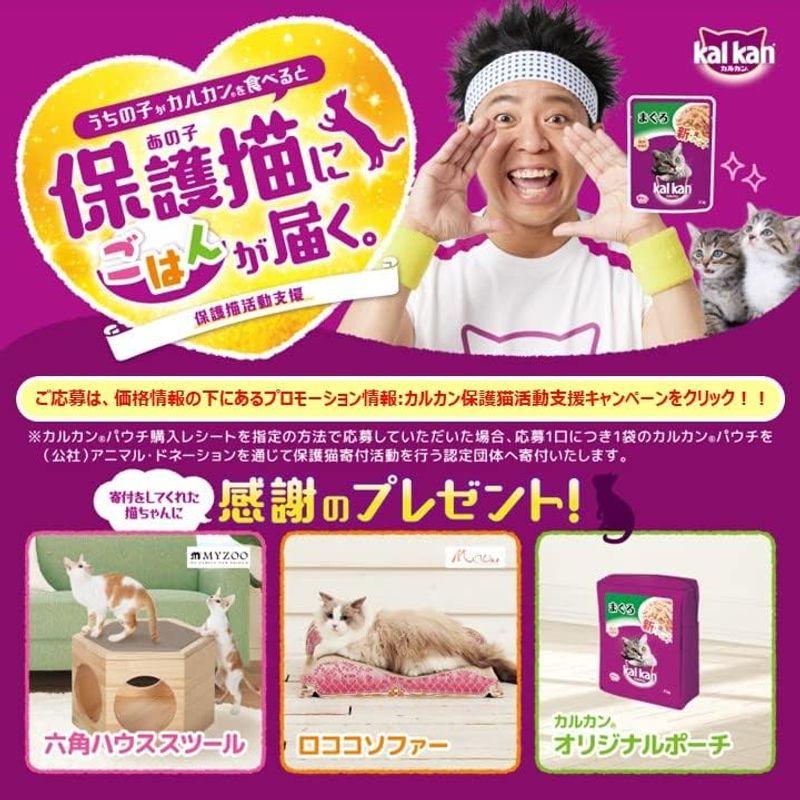 カルカン パウチ 高齢猫用 15歳から まぐろ たい入り 70g×16袋 (まとめ買い) キャットフード｜otc-store｜04