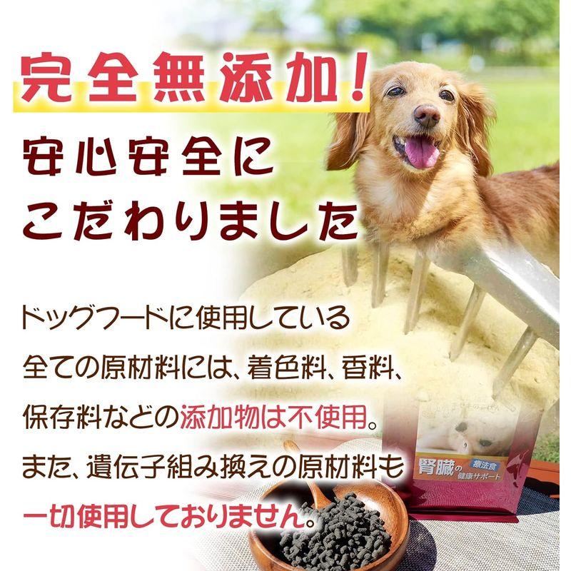 腎臓の健康サポート 1kg 犬用療法食 無添加国産 鹿肉ドッグフード Dr.宿南のキセキのごはん （ 旧・デイリースタイル DailySt｜otc-store｜03