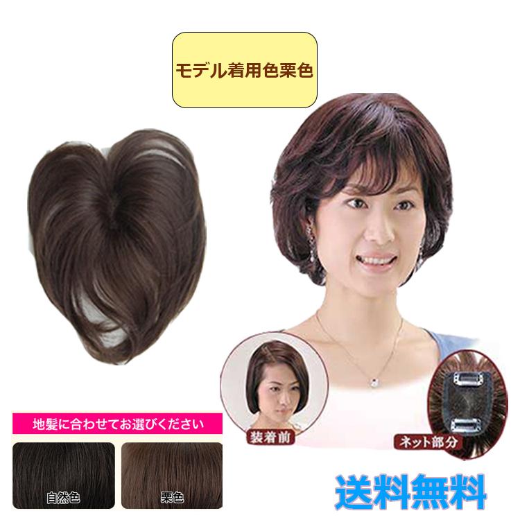 ソフトネット ヘアピース SO-110 人毛100% 部分ウィッグ 部分かつら