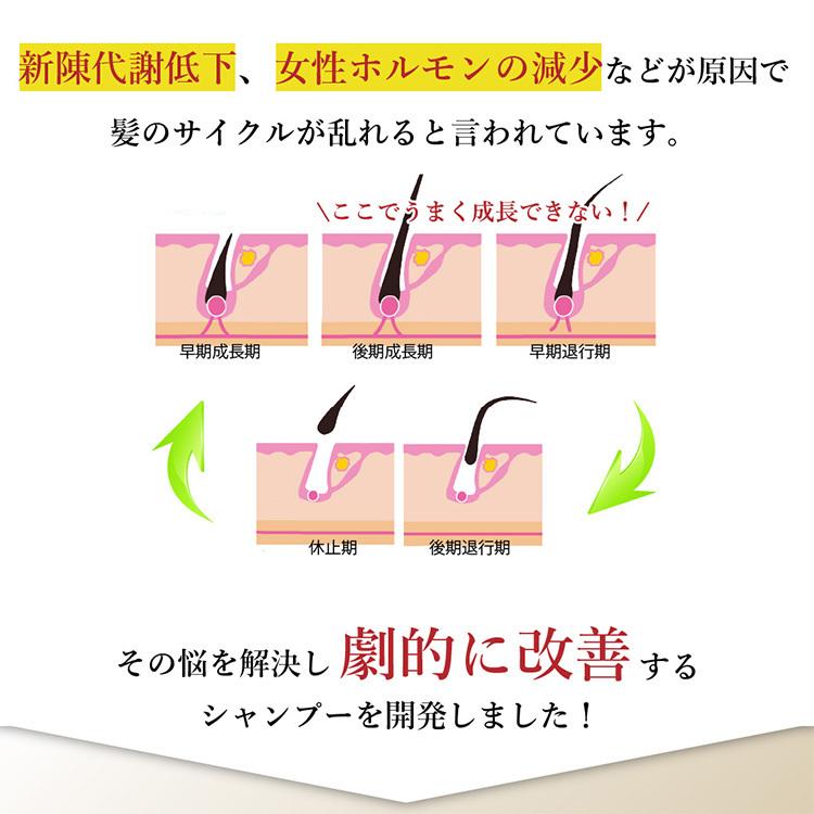 KYOGOKU PROFESSIONAL KYOGOKU シグネチャーシャンプー 120ml ヒト