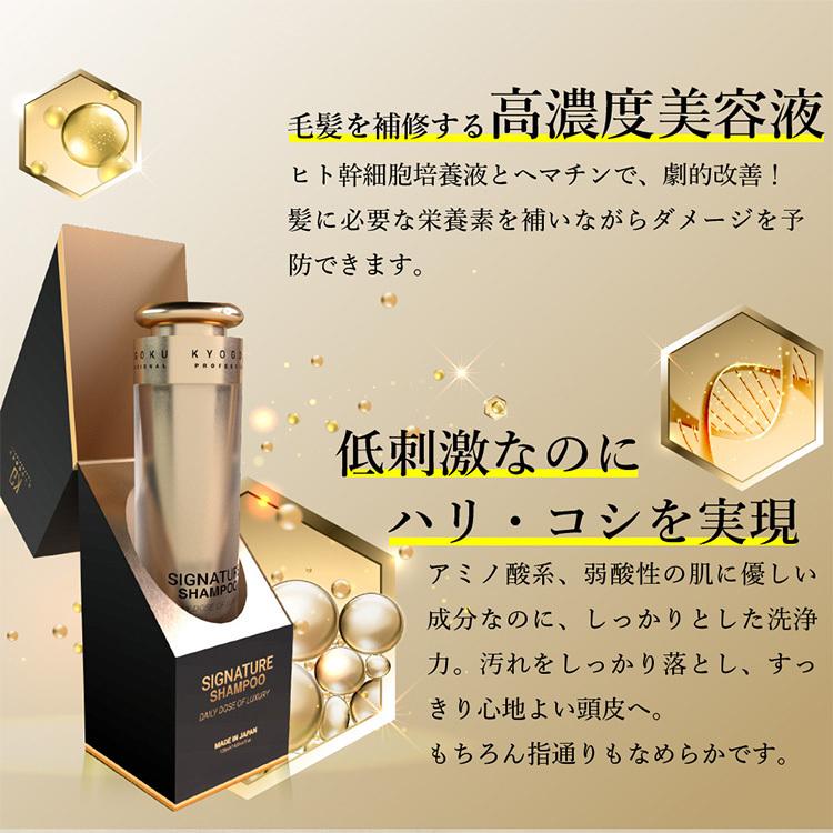 KYOGOKU PROFESSIONAL KYOGOKU シグネチャーシャンプー 120ml ヒト
