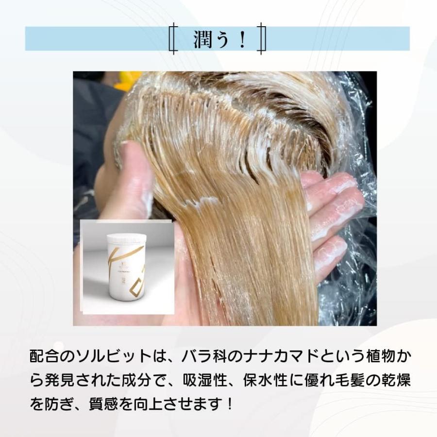 KYOGOKU IROME リッチクリスタル ＋ プレミアムブリーチ 500g ブリーチ ハイブリーチ ホワイトブリーチ ダメージケア ヘアケア ヘアカラー｜otegoro-m｜09