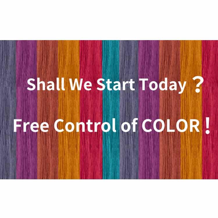 ヘアカラー剤・処理剤セット 250_zengo_set_22.jpg