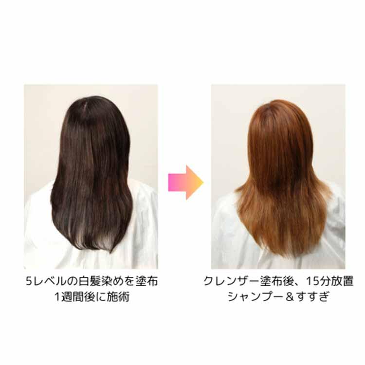 カミキュア カラークレンザー 1剤100ml/2剤100ml 洗髪料 ヘアカラー