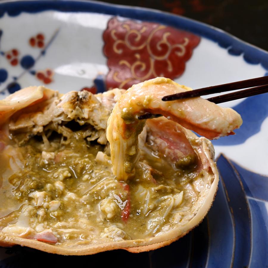 わけあり 越前がに（浜茹で）【0.5〜0.6kg】3杯セット わけあり 越前がに 6kg