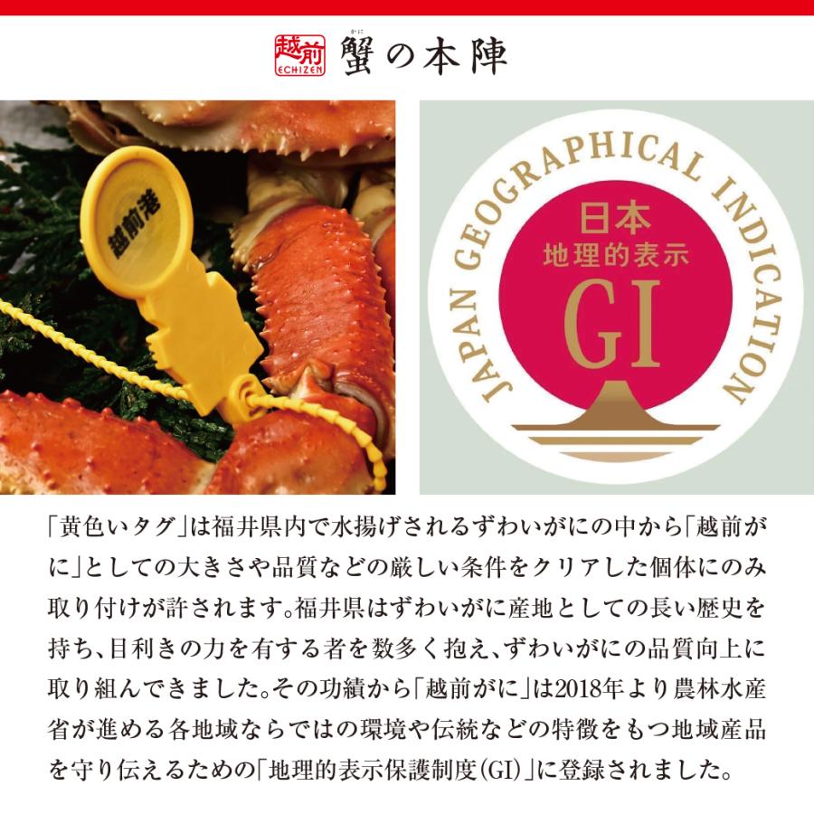 わけあり 越前がに（浜茹で）【0.5〜0.6kg】3杯セット わけあり 越前がに 6kg
