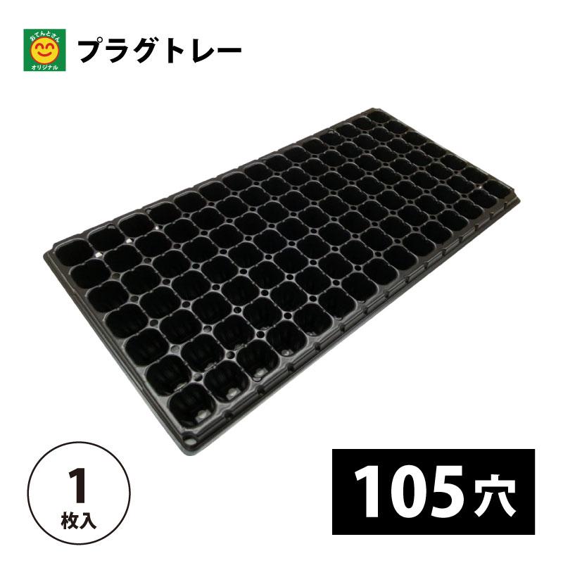 Top【選抜株】23514ワイト　スージェオングHyb　105個　プラグトレー苗 プラグトレー 105穴 1枚 プラグトレイ／105S : 農家のお店おてんとさん