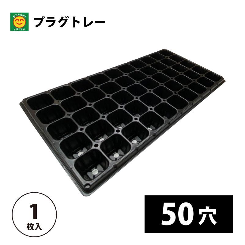 プラグトレー 50穴 1枚 プラグトレイ／50S : 農家のお店おてんとさん