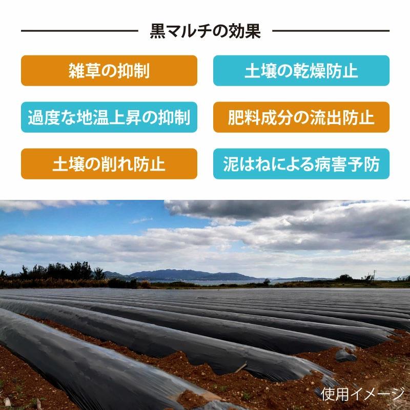 黒マルチ 無孔 厚さ0.02mm×幅120cm×長さ200m 1本／5本 (黒マルチシート