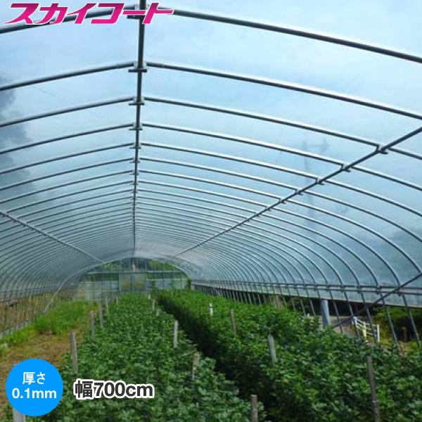 農業用POフィルム スカイコート 厚さ0.1mm 幅700cm ご希望の長さ(m)を数量で入力してください メーカー直送品/カット加工 :0404026054007:農家のお店おてんとさん - 通販 - Yahoo!ショッピング 農業用POフィルム スカイコート 厚さ0.1mm 幅700cm ご希望の長さ(m)を数量で入力してください メーカー直送品/カット加工 :0404026054007:農家のお店おてんとさん - 通販 - Yahoo!ショッピング
