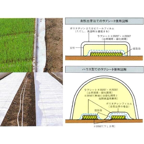 ラブシート　白　20307WTD　（厚み）0.13mm×（幅）135cm×（長さ）50m｜otentosun｜02