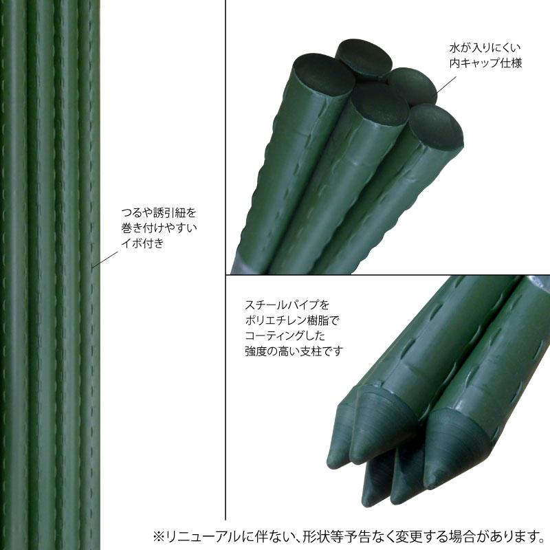 イボ支柱 16mm×1500mm 50本入 園芸支柱 農業支柱 : 農家のお店おてんと