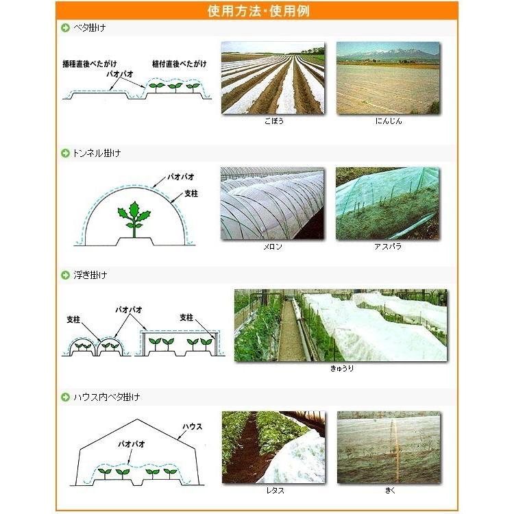 農業用不織布　べたがけトンネル資材　青パオパオ　幅260cm×長さ200m｜otentosun｜02