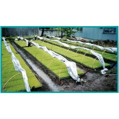 育苗用シルバーポリトウ #90 (厚み)0.05mm×(幅)230cm×(長さ)50m 2本