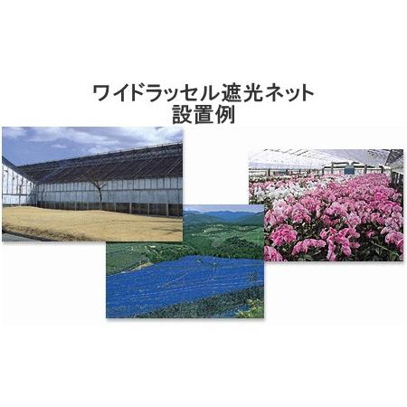 日本ワイドクロス ワイドラッセル遮光ネット FES8 シルバー 巾200cm×長 