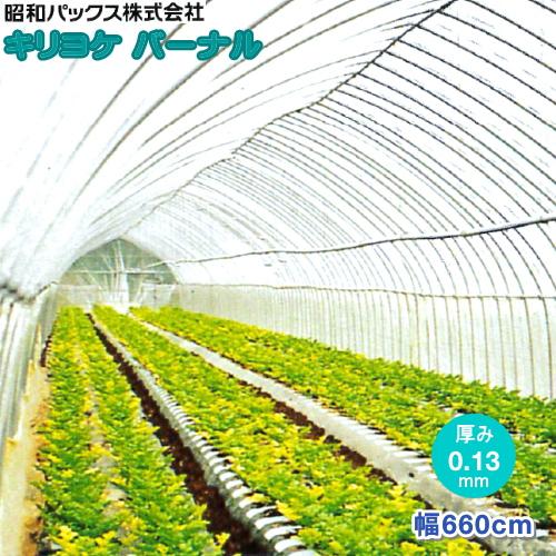 農POフィルム キリヨケバーナル 厚さ0.13mm 幅660cm 数量で長さ(m)指定