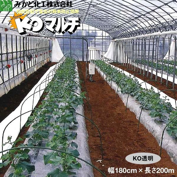 みかど化工 KOマルチ　透明（KON）　厚み0.02mm　幅180cm×長さ200m　無孔　3本セット