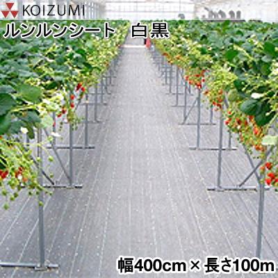 KOIZUMI (小泉製麻) 防草シート ルンルンシート 白黒 幅400cm×長さ100m