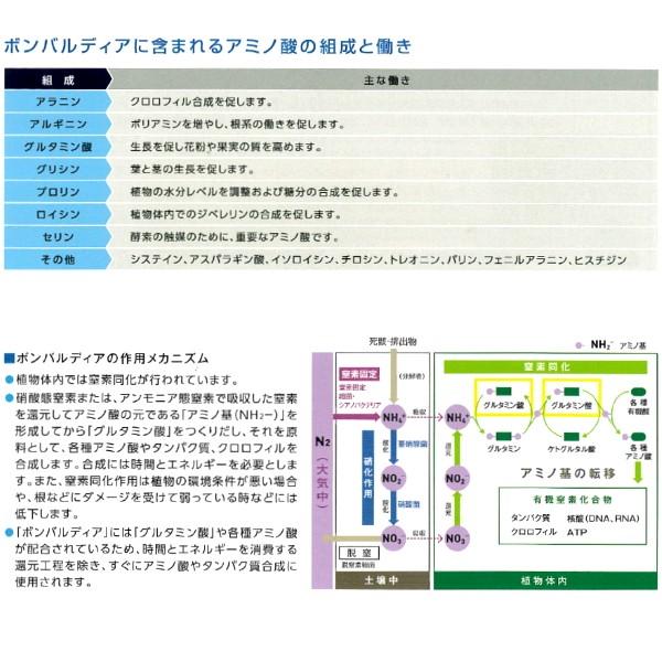 ハイポネックス ボンバルディア 1L BOMBARDIER 有機活力液肥|otentosun|03