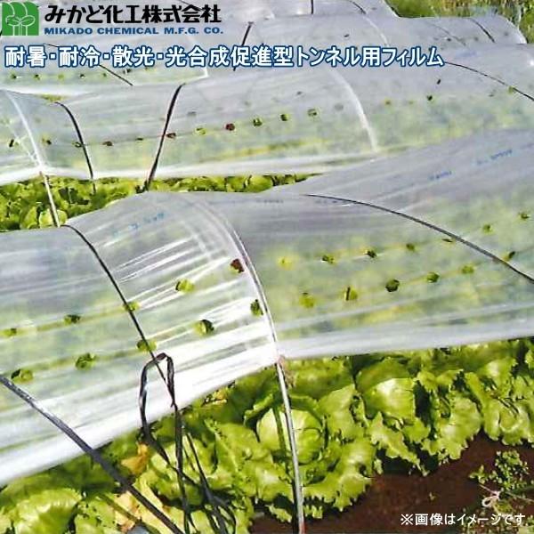 みかど化工　ソフトユーラックカンキ　(ソフトカンキ)　SUK50A　カンキ4号　厚さ0.05mm×幅210cm×長さ100m　2本セット　トンネル用農POフィルムの画像