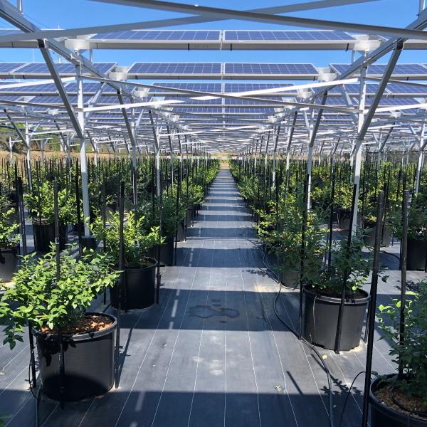 コンポーズパイプ500本