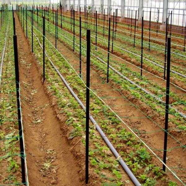 コンポーズパイプ500本