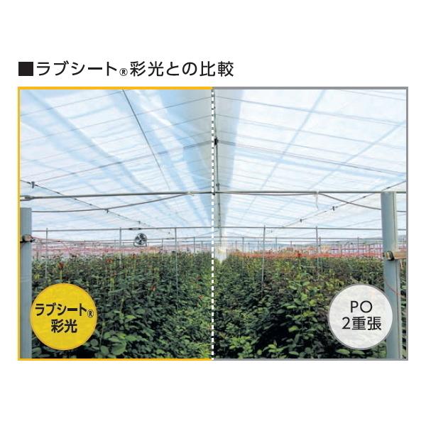 UNITIKA（ユニチカ） 農業用高透光性不織布 ラブシート 彩光 幅240cm