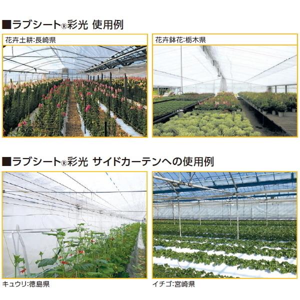 UNITIKA（ユニチカ） 農業用高透光性不織布 ラブシート 彩光 幅240cm