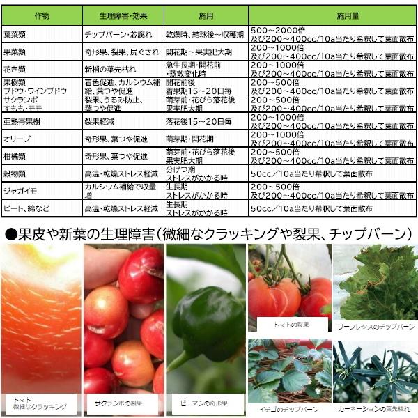 ハイポネックス グリベテンNK 1L GLYBETEN バイオスティミュラント資材