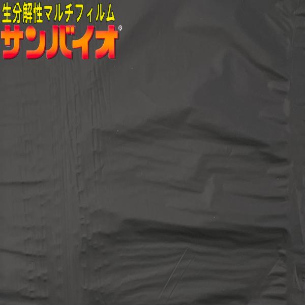 サンプラック工業　生分解マルチ　サンバイオ　黒　(厚み)0.018mm×(幅)95cm×(長さ)200m　無孔　2本セット｜otentosun｜02