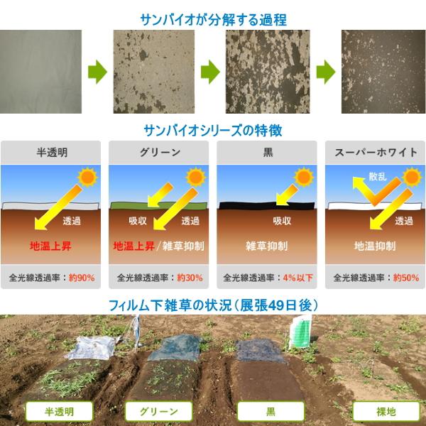 サンプラック工業 生分解マルチ サンバイオ 黒 (厚み)0.018mm×(幅