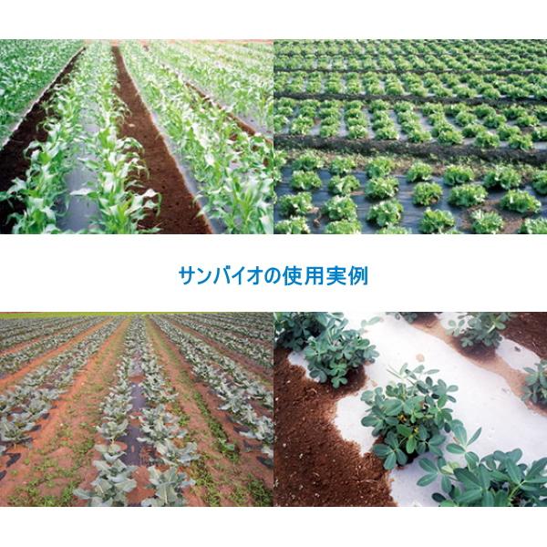 サンプラック工業 生分解マルチ サンバイオ 黒 (厚み)0.018mm×(幅