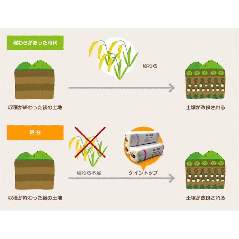 アグリック SK土壌改良材 ケイントップ 20kg 100％天然有機資材 : 農家