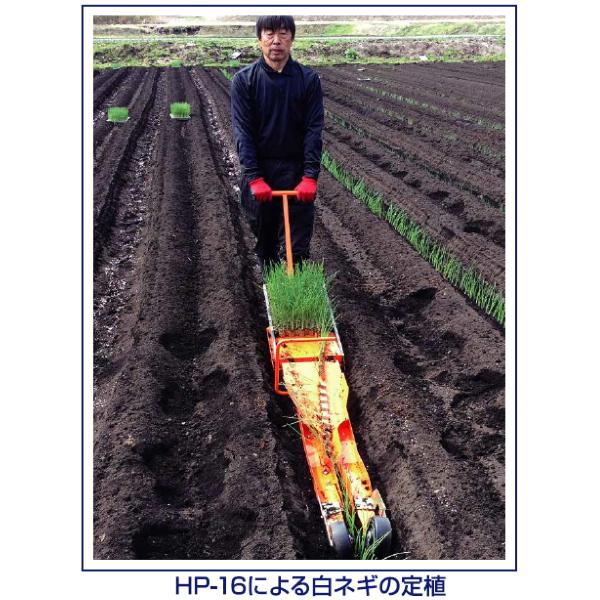 ニッテン チェーンポット簡易移植機 ひっぱりくん HP-16 溝切深さ 53mm